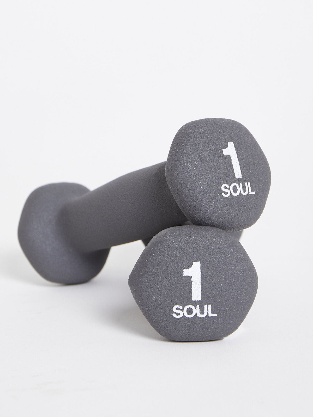 SOULCYCLE 1LB WEIGHTS